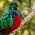 Chiapas, Newsletter 01