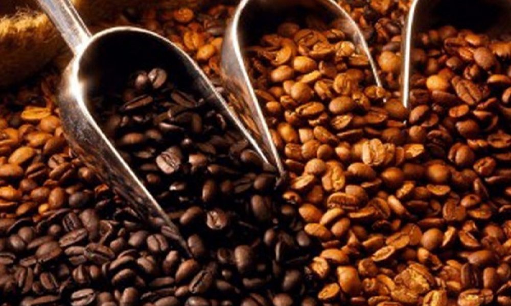 Veracruz: The Coffee Route