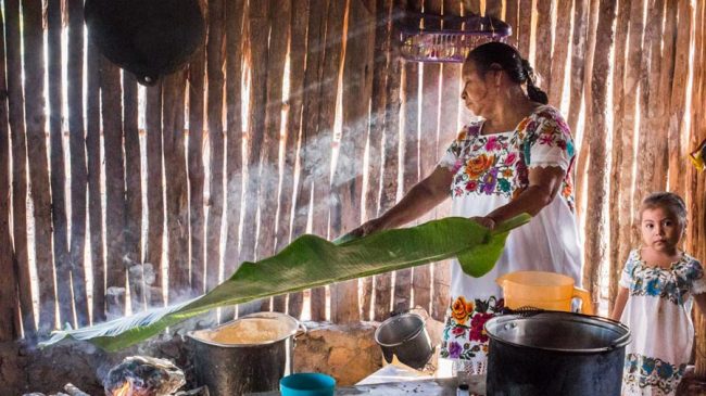 Yucatán – Newsletter 03