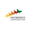 Ejecutivo de operaciones T&T